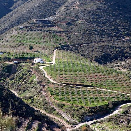 Cortijo El Rancho Villa Albanchez Екстериор снимка
