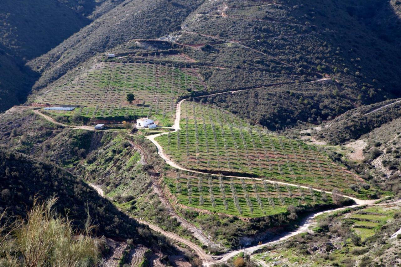 Cortijo El Rancho Villa Albanchez Екстериор снимка