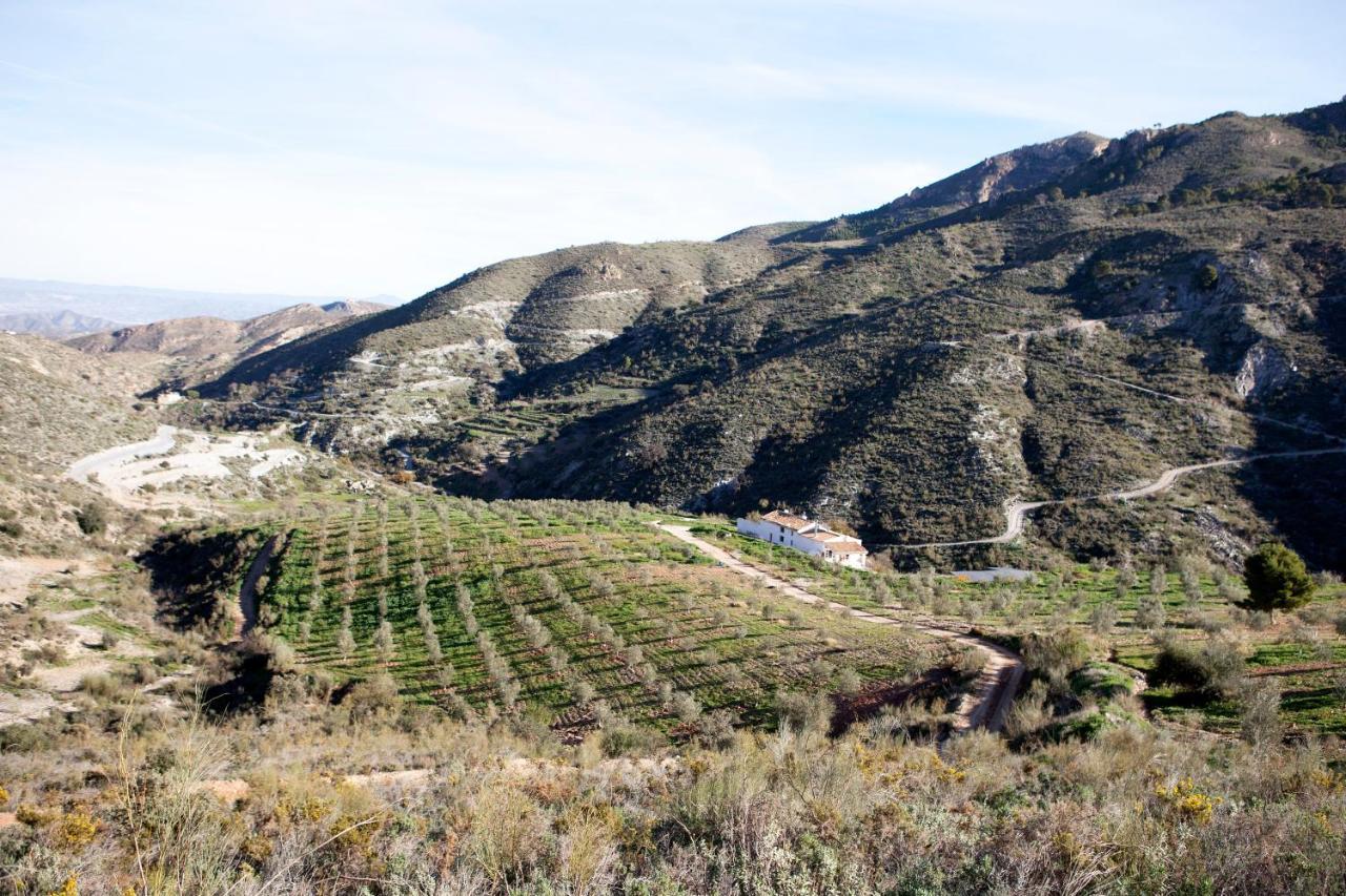 Cortijo El Rancho Villa Albanchez Екстериор снимка