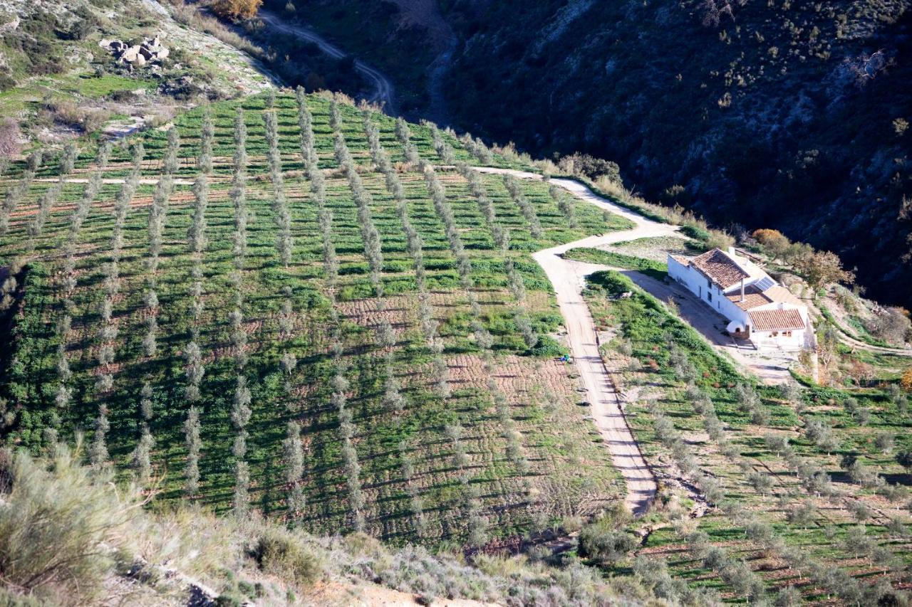 Cortijo El Rancho Villa Albanchez Екстериор снимка